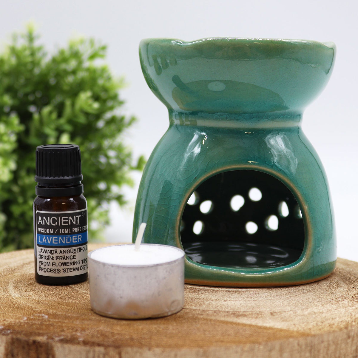Levensboom Oliebrander – Blue