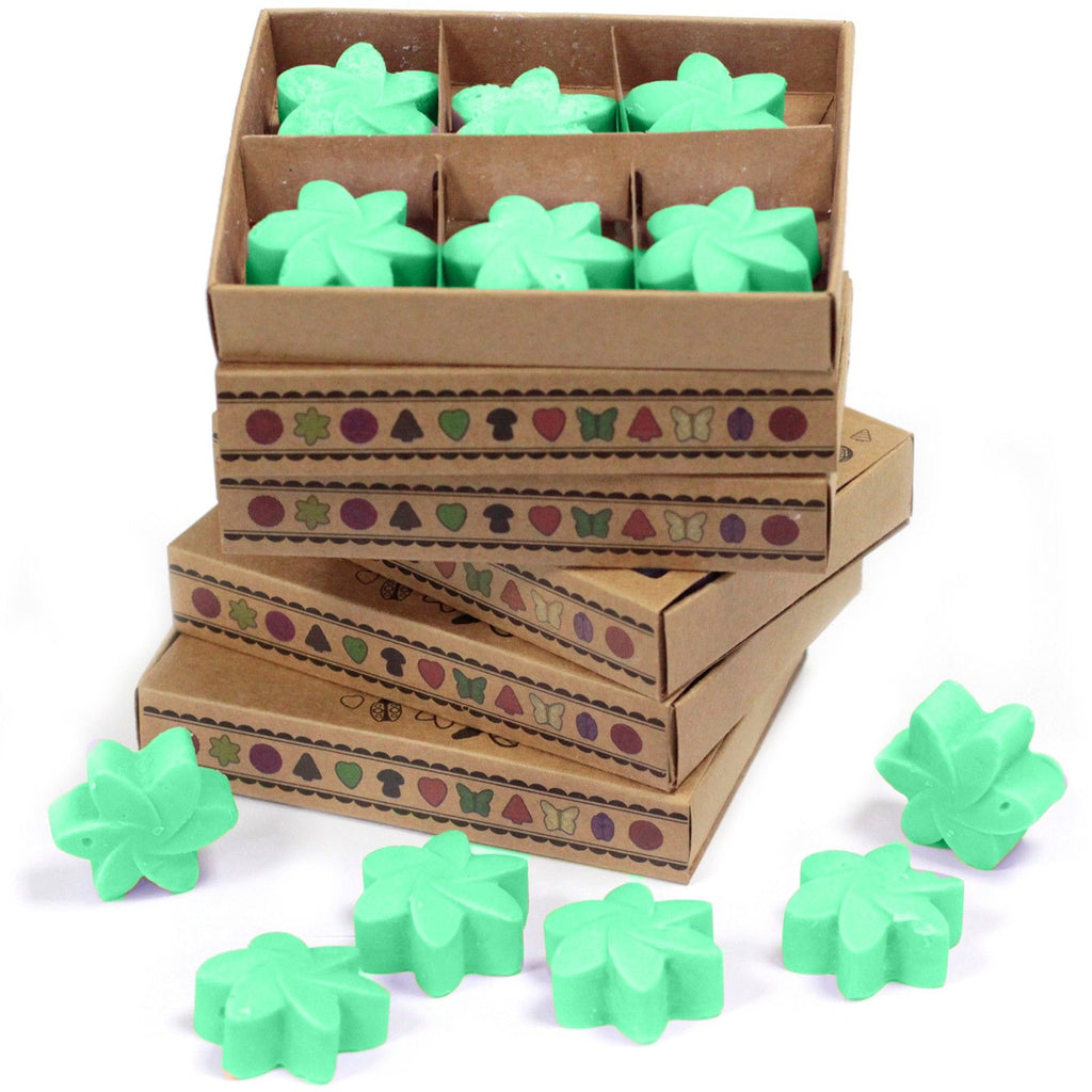Waxmelts verborgen tuin – 6 stuks