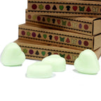 Waxmelts frisse watermeloen – 6 stuks