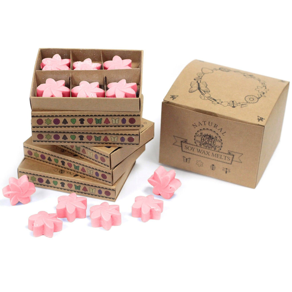 Waxmelts Japanse magnolia – 6 stuks