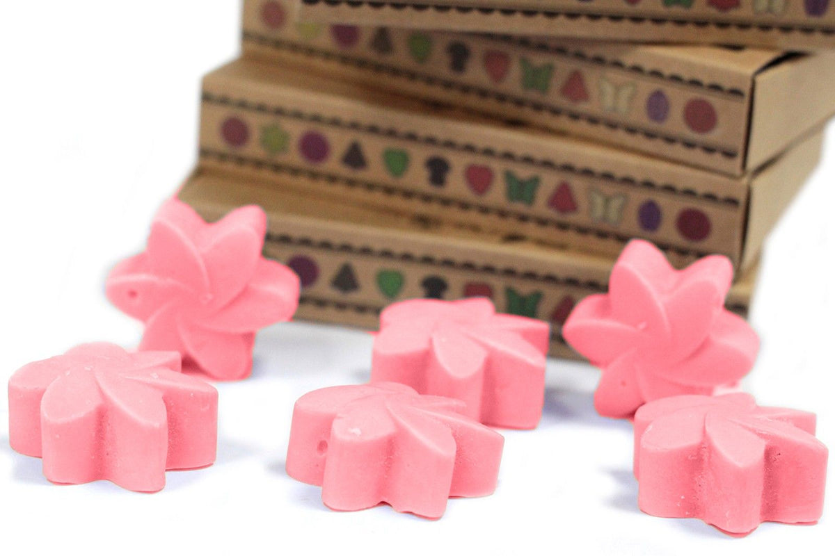Waxmelts Japanse magnolia – 6 stuks