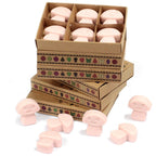 Waxmelts Old gember – 6 stuks