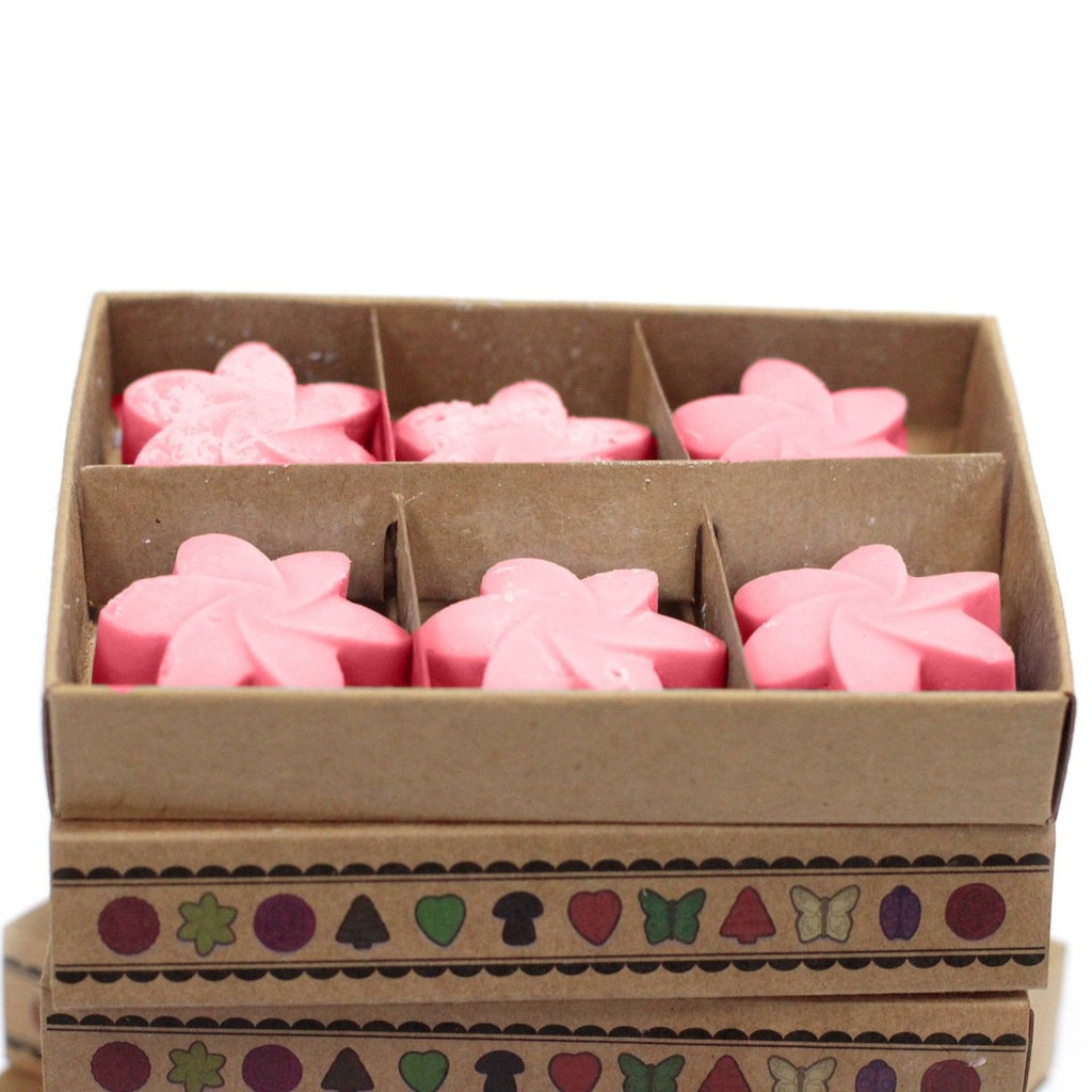 Waxmelts Japanse magnolia – 6 stuks