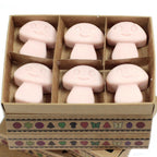 Waxmelts Old gember – 6 stuks