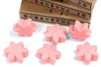 Waxmelts Japanse magnolia – 6 stuks