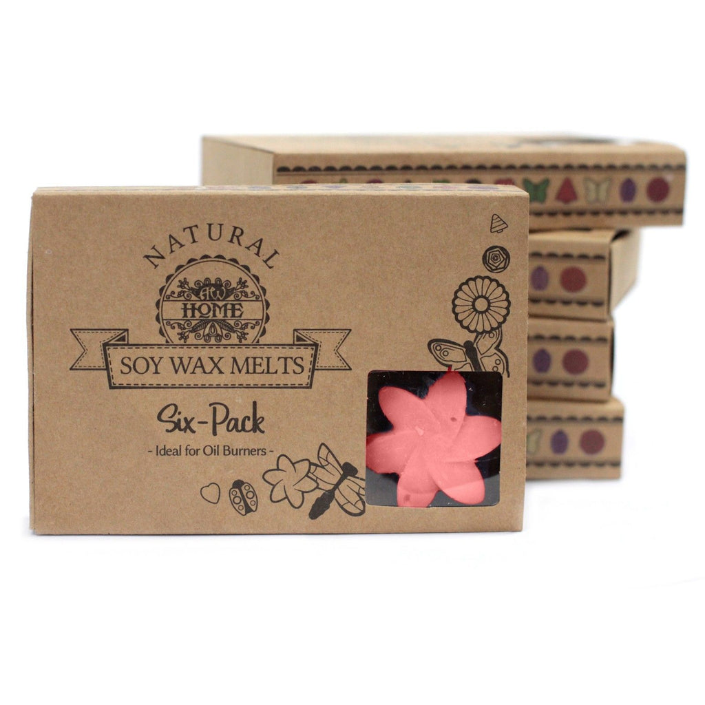 Waxmelts Japanse magnolia – 6 stuks