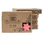 Waxmelts Japanse magnolia – 6 stuks
