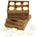 Waxmelts appel en kruiden – 6 stuks