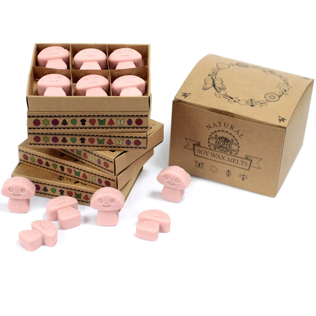 Waxmelts koffie – 6 stuks