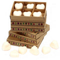 Waxmelts kaneel & sinaasappel – 6 stuks