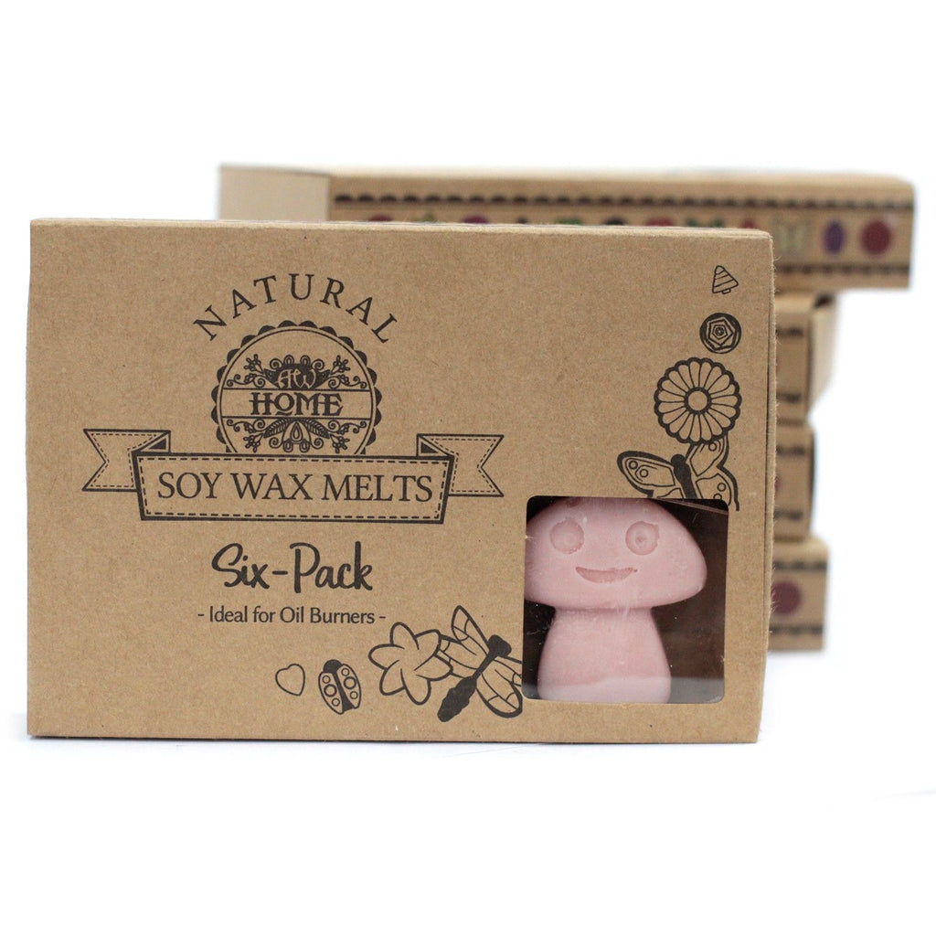 Waxmelts koffie – 6 stuks