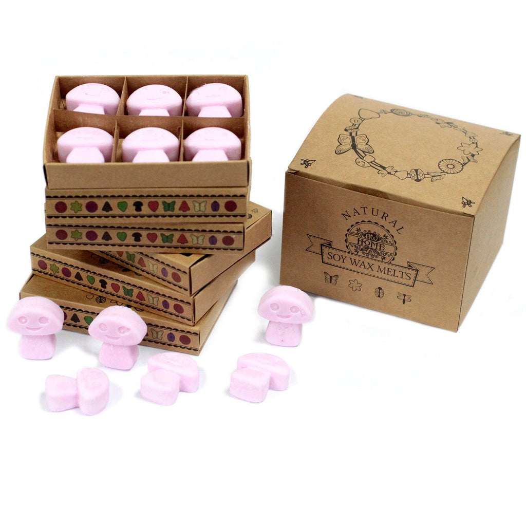 Waxmelts Ylang-Ylang – 6 stuks