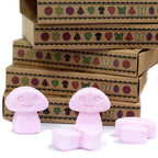 Waxmelts Ylang-Ylang – 6 stuks