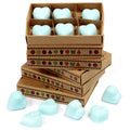 Waxmelts nagchampa – 6 stuks