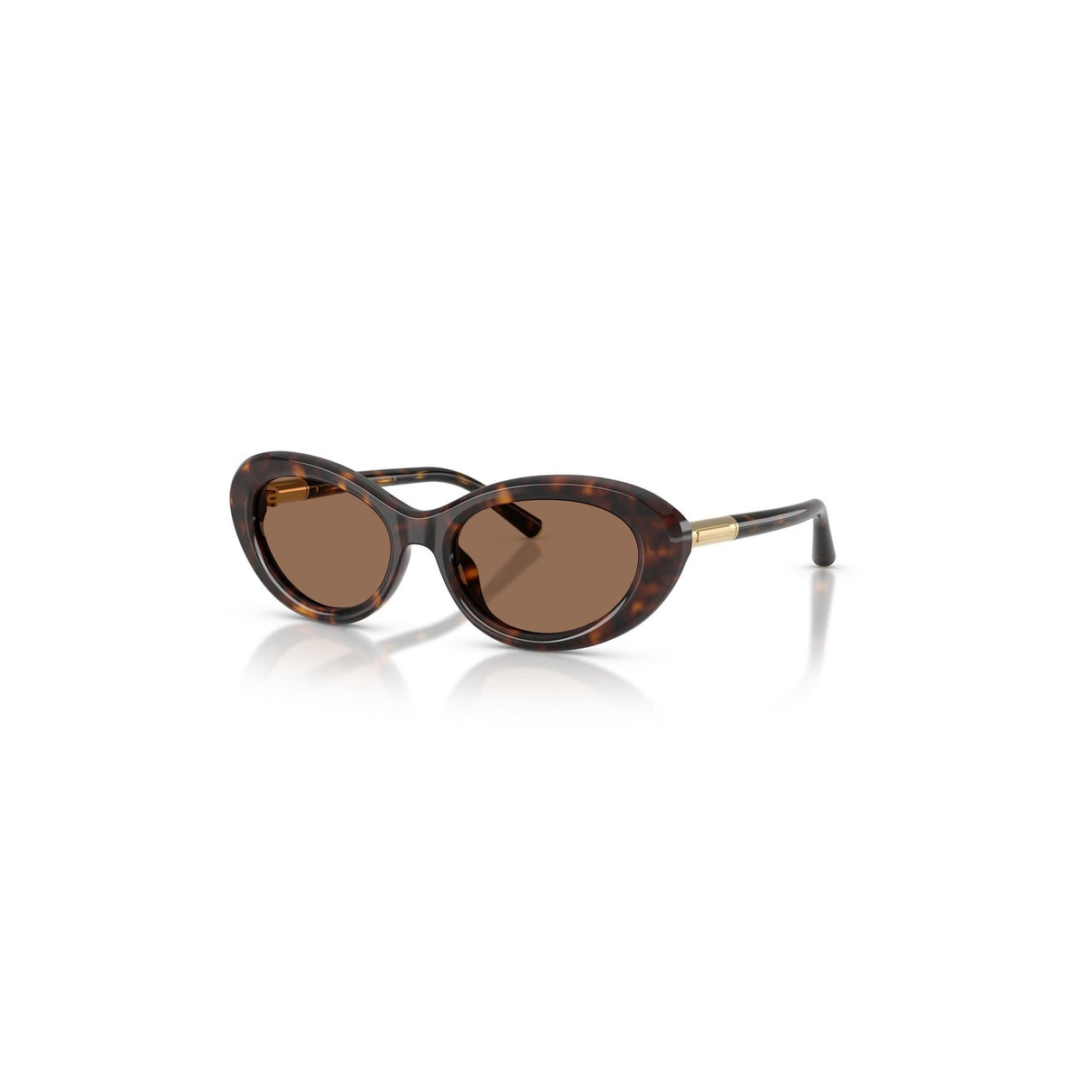 Dolce & Gabbana dameszonnebril bruin uitvoering 2